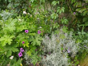 aménagement de jardin Bordeaux paysagiste