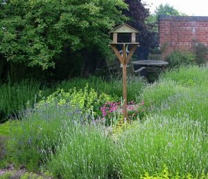aménager son jardin