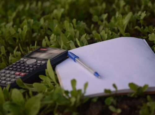 estimation aménagement jardin