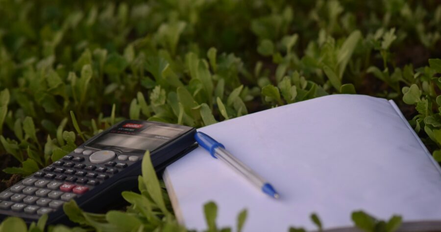 estimation aménagement jardin