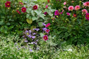 créer un massif de fleurs