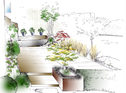 croquis jardin plan bordeaux