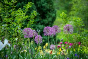 choisir le style de son jardin