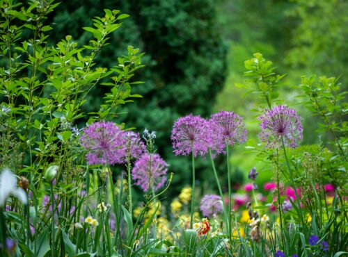 choisir le style de son jardin