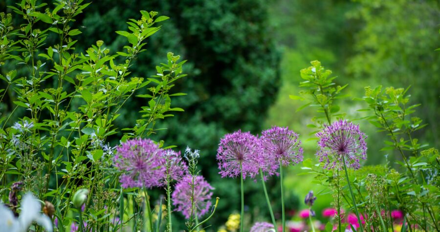 choisir le style de son jardin