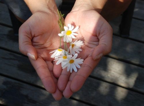 aménager son jardin paysagiste en ligne bordeaux