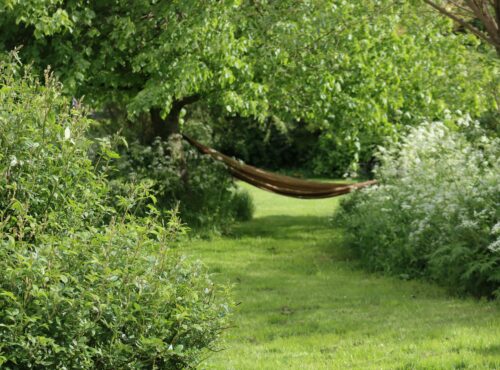aménagement jardin en longueur