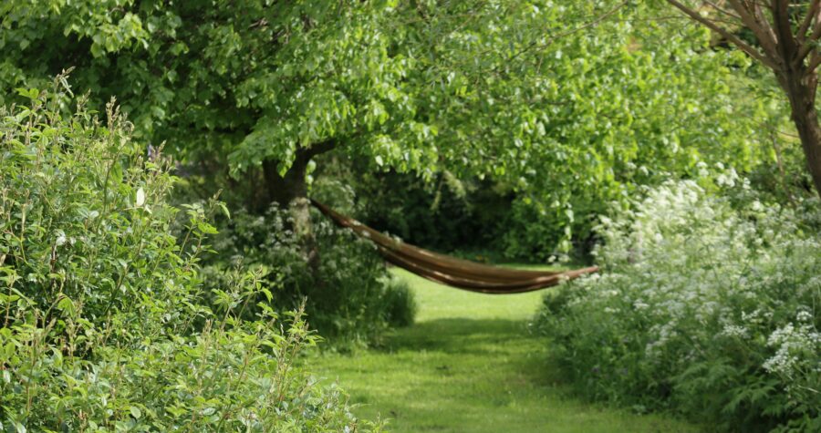 aménagement jardin en longueur