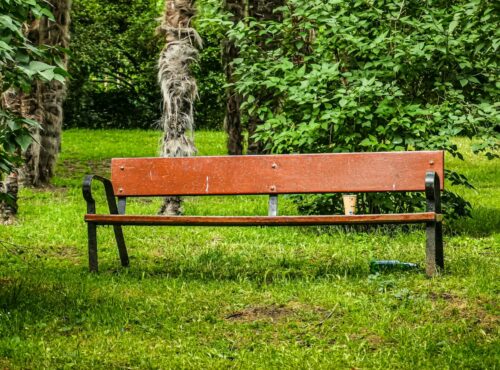 Créer un coin détente dans son jardin : idées et conseils