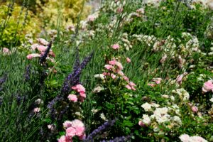 créer un massif de fleurs