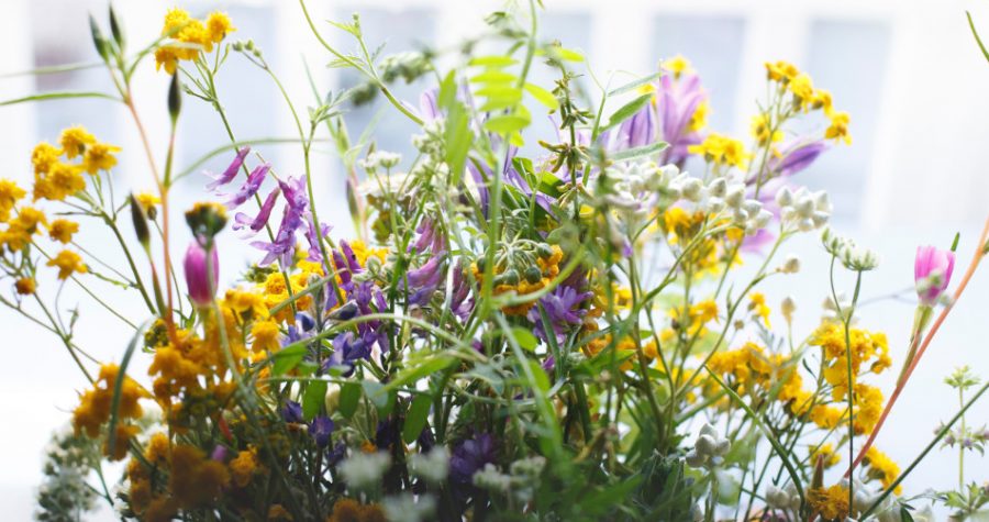 associations de plantes vivaces paysagiste paris