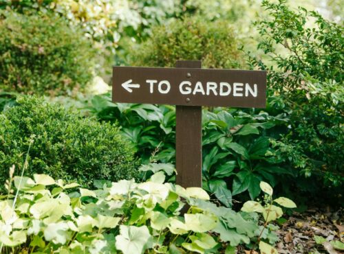 conception jardin petit budget