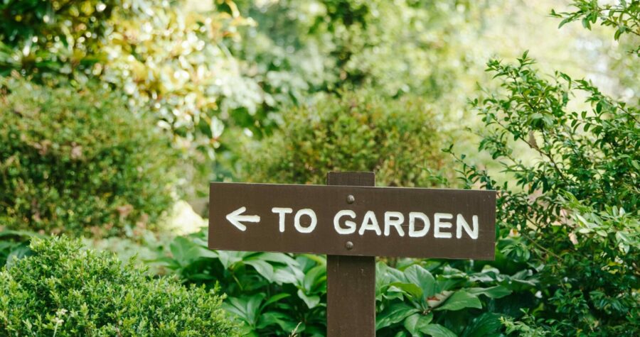 conception jardin petit budget