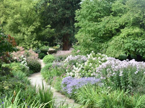 plantes faciles du jardin