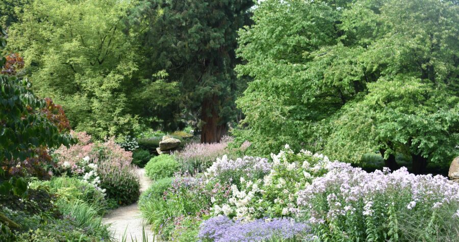 plantes faciles du jardin