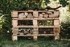 conception jardin biodiversité