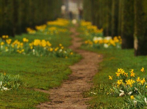 chemin de jardin
