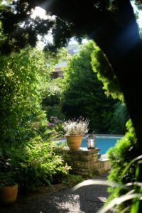 aménagement jardin piscine végétaux