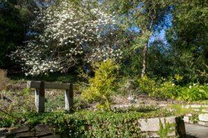 accompagnement personnalisé jardin