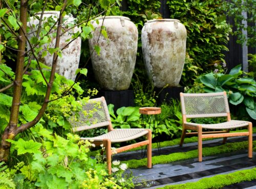 jardin d'ombre