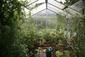 créer des zones dans un jardin